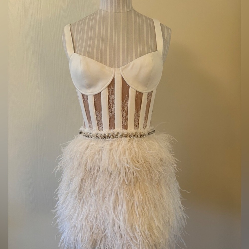 Alice + Olivia Xia Sheer Bustier Feathered Mini Dress, Size 8